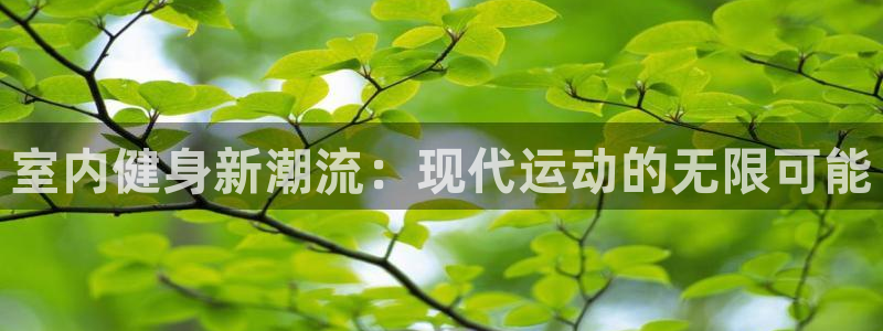 利记官网下载官方客服电话:室内健身新潮流:现代运动的无限可能