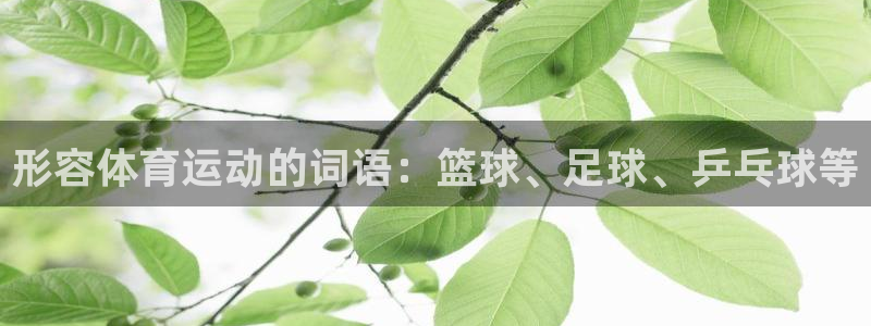 利记官方正版app官网:形容体育运动的词语:篮球、足球、乒乓