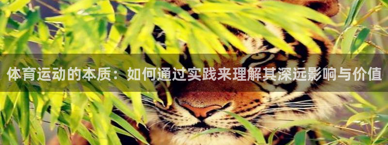 利记官方正版app集团官网网址:体育运动的本质:如何通过实践