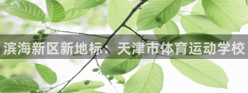 利记官网下载平台注册要钱吗安全吗:滨海新区新地标:天津市体育