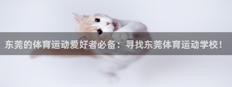 利记官方正版app娱乐代理怎么样:东莞的体育运动爱好者必备:
