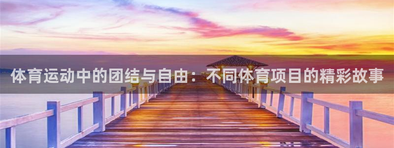 利记官网下载招商电话是多少啊:体育运动中的团结与自由:不同体